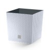 Vaso per Fiori Piante Rato Square Low | Quadrato | Decorativo | in Plastica | da Interno Esterno | Design Moderno