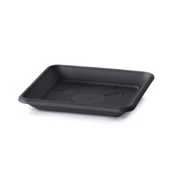 Sottovaso Terra PKWT |...