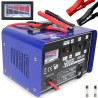 Caricabatterie portatile 12V/24V 30A per batterie fino a 180Ah professionale
