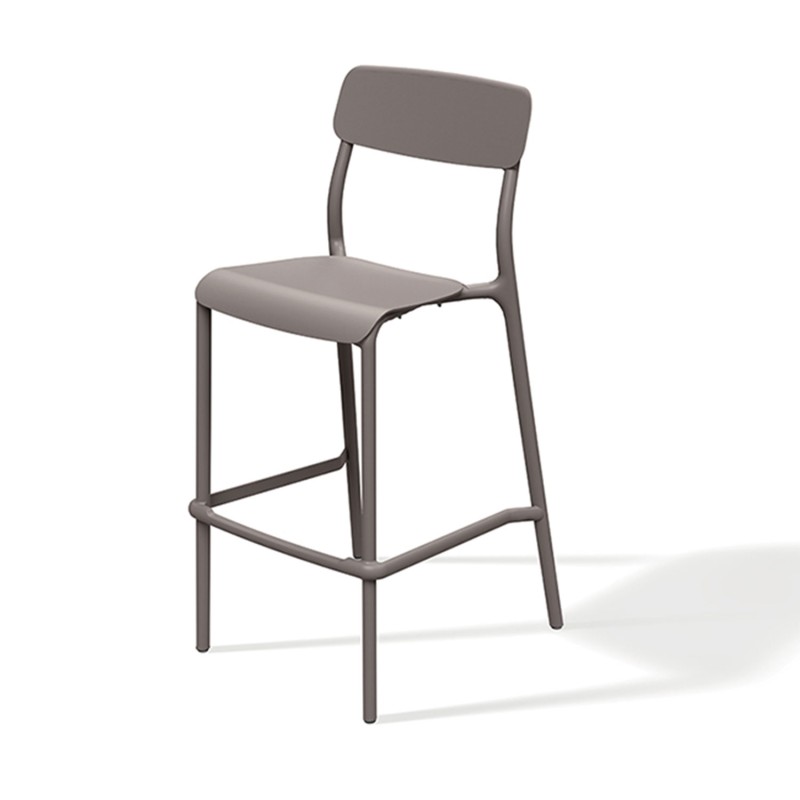 Set di Sgabelli Sedie da Bar Cucina | Peso Supportato 110 Kg | Altezza Totale 108,5 cm | con Schienale | con Appoggiapiedi | in Plastica