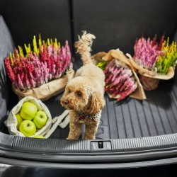 Vasca Baule compatibile con Renault Captur II dal 2019 in poi, su misura in Gomma TPE