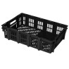Set di Casse Cassette per Frutta Verdura Duri Carne Pesce | 59x39,5x15 cm | in Plastica