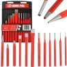 Set scalpelli punzoni cacciaspine 12pz acciaio temprato con custodia rigida