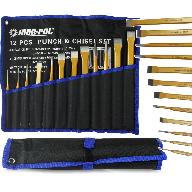 Set kit 12 scalpelli punzoni cacciaspine bulino piatto piatti punte acciaio