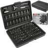 Set punte per avvitatore 100 pz piatte, torx, esagonali, spline con valigetta