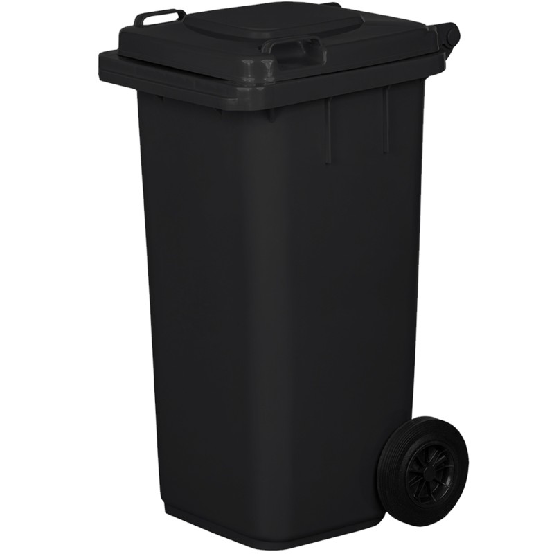 Bidone Pattumiera Contenitore per Spazzatura Rifiuti | da 120-240 Litri | EN840 | con Ruote | Sistema di Aggancio per Prelievo Meccanico | in Plastica